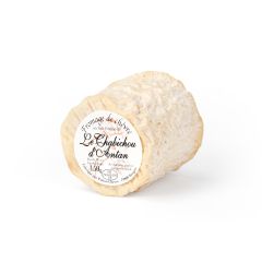 Chabichou du Poitou AOC French Goat Cheese