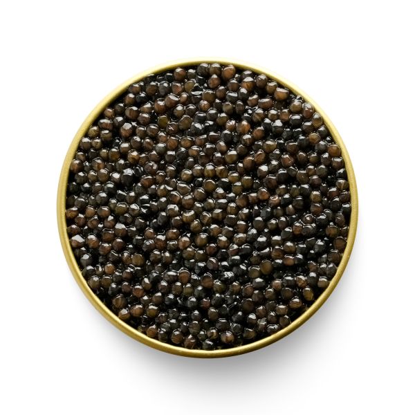 Marky's Beluga Hybrid Caviar