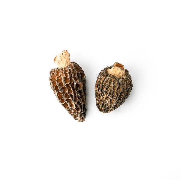 French Morel Mushrooms, Dried