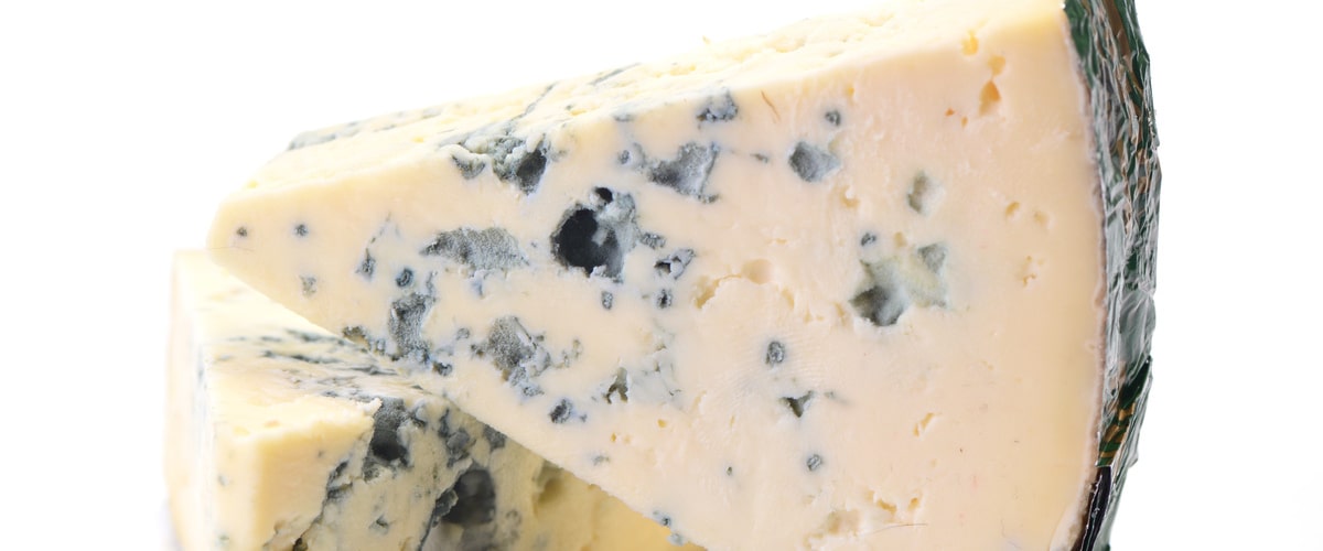 The role of bacteria and mold in shaping the flavor and texture of cheese