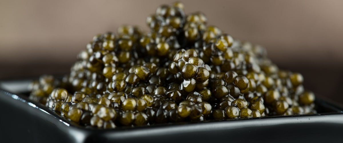 Economy, dwindling fish hamper caviar industry