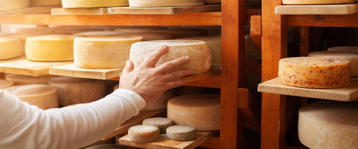 From Mild to Extra Sharp: Understanding Cheddar Cheese Aging Levels