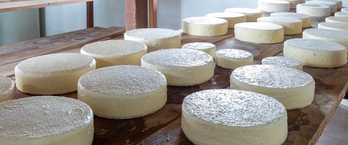 The World of Artisanal Cheeses: Exploring Unique and Local Varieties