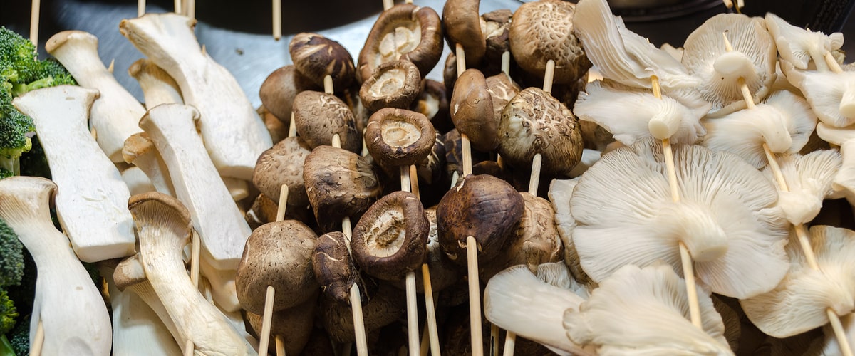 The World of Exotic Mushrooms: From Morels to Matsutakes