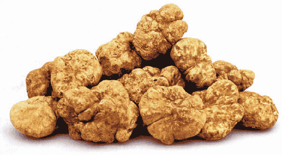 The world's priciest foods - White Truffles and Caviar by Marky's