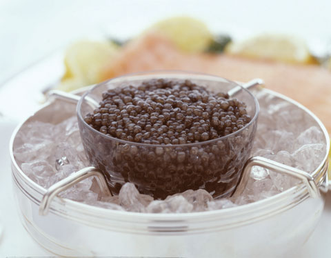 Black Gold - Caviar by Marky's