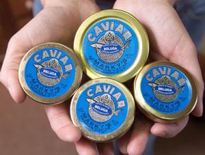 Sturgeon Aquafarms and Marky's Begin Selling Domestic, Genuine Beluga Caviar