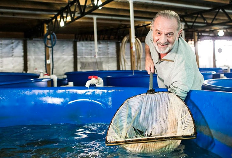 Miami New Times: Marky's Florida Aquafarm Produces Farm-to-Spoon Caviar
