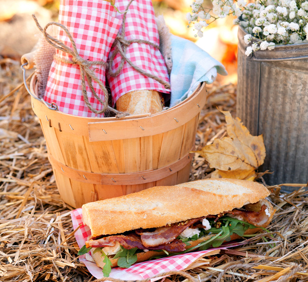 Some Fabulous Fall Picnic and Barbecue Ideas