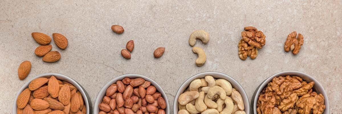 World's Nut Day: A Celebration of the Many Varieties of Nuts