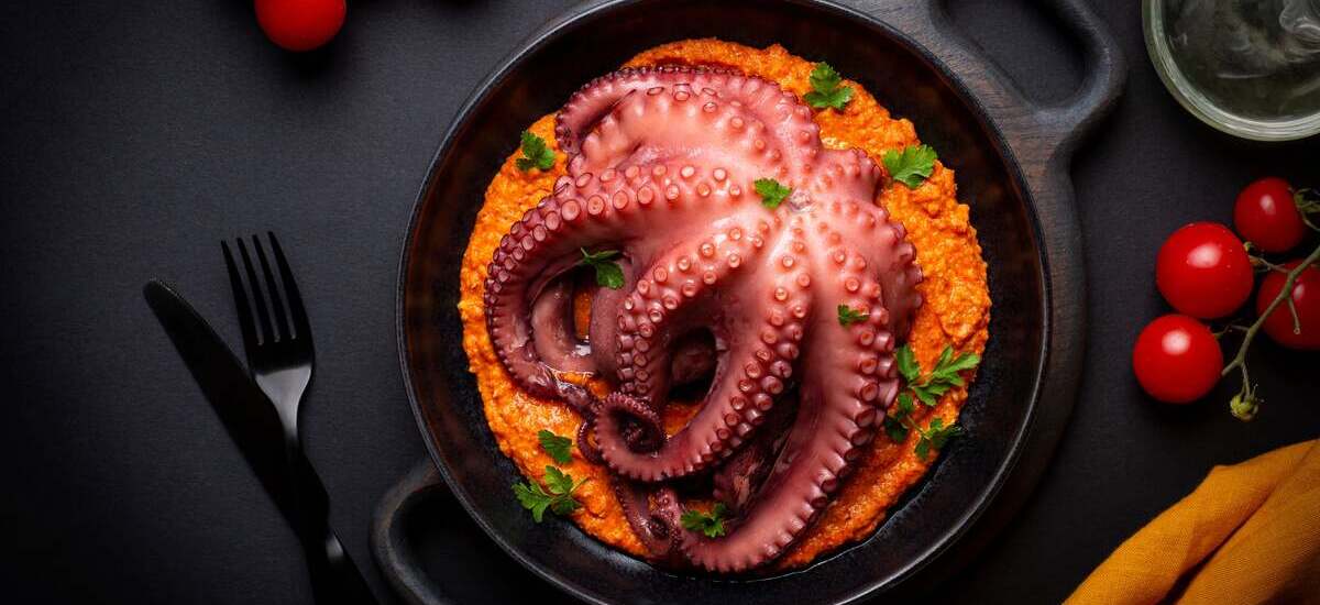 The Fascinating World of Octopus: What Is It, Recipes, and Health Benefits
