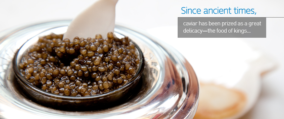 Quest for caviar spurs U.S. versions