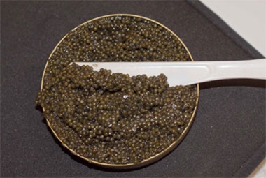 Call it the Caviar Kingdom - Beluga Sturgeon Caviar vendor