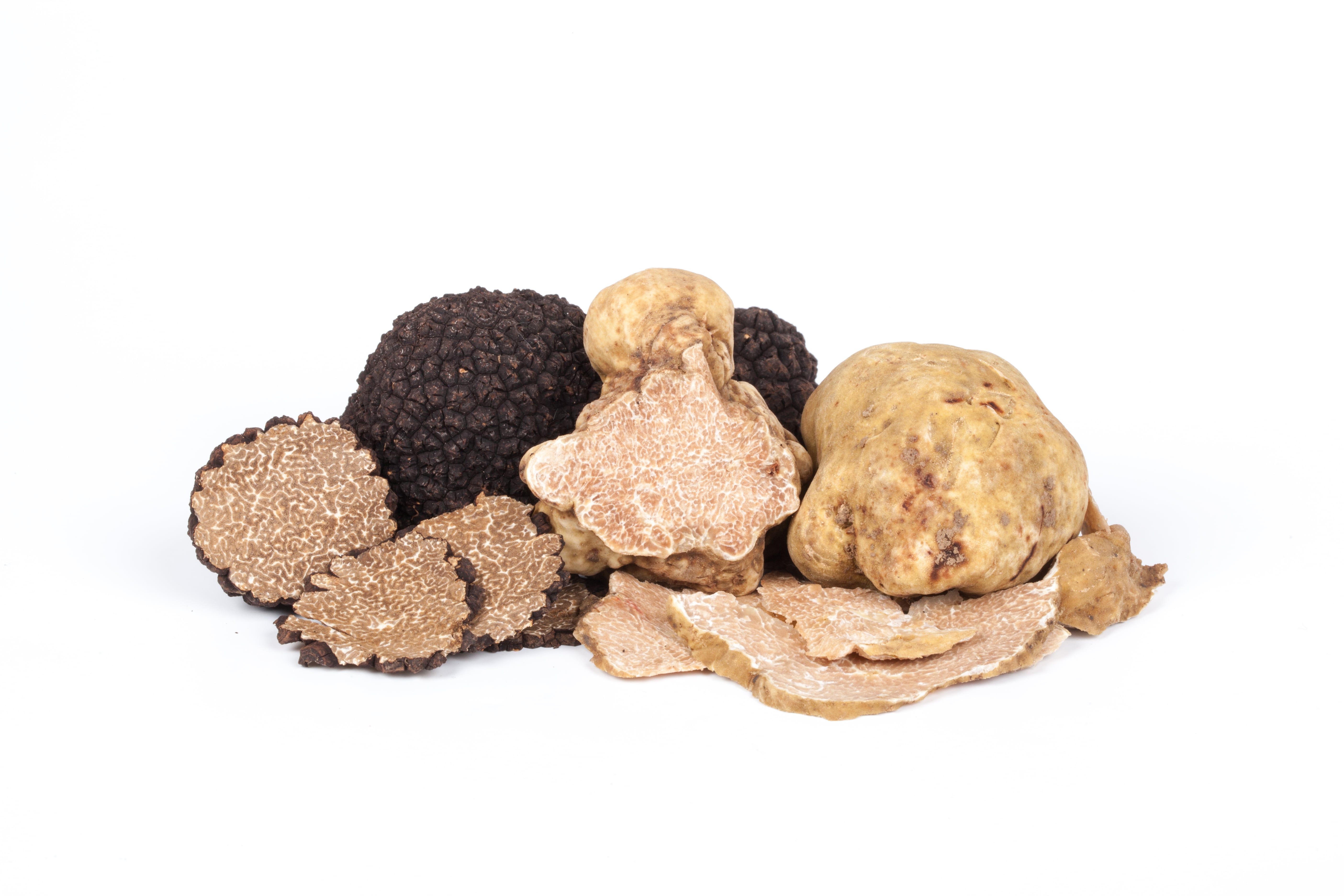 White Truffles vs. Black Truffles: Differences, Cost, and Recipes