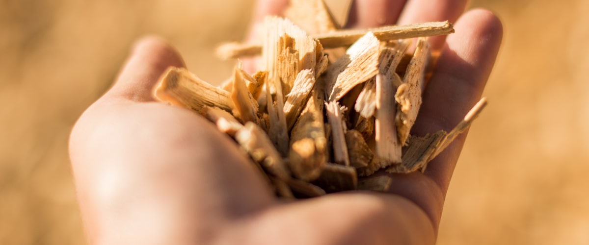 The different types of wood chips used for smoking salmon and how it affects the flavor
