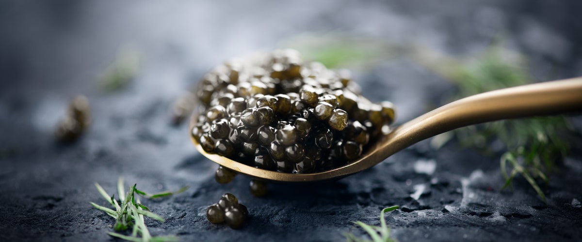 The perfect caviar dishes to serve at a fancy dinner party or special  occasion
