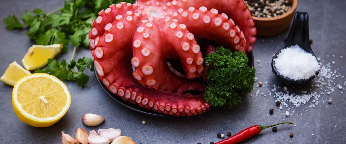 octopus recipe