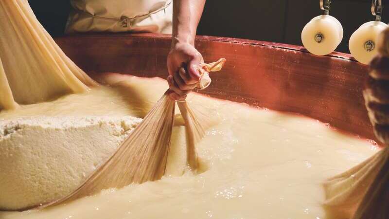 Process of making aged cheese