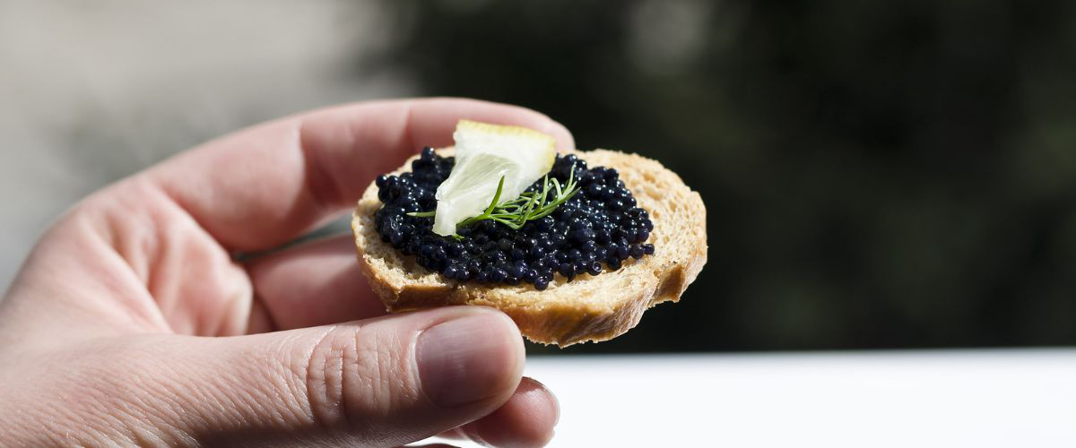 caviar crostini