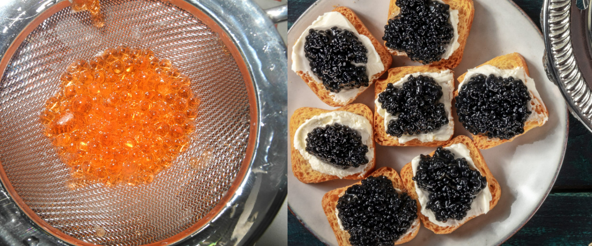 real vs fake caviar