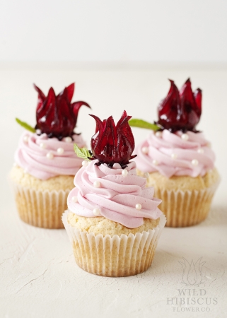 Wild Hibiscus Champagn Cupcakes