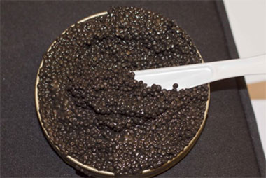 America's Pride Golden Herring Caviar