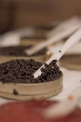 Great Catches Caviar